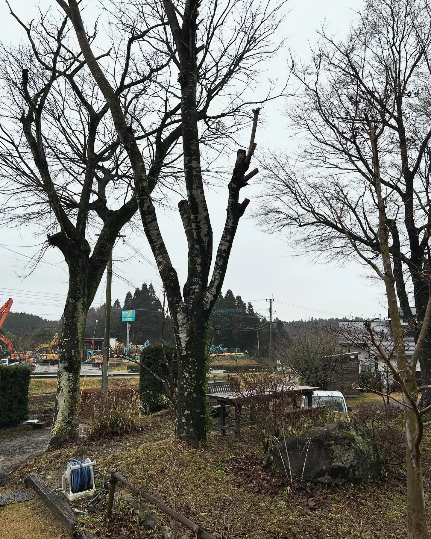 新しい季節、新しい空間を🌿✨。