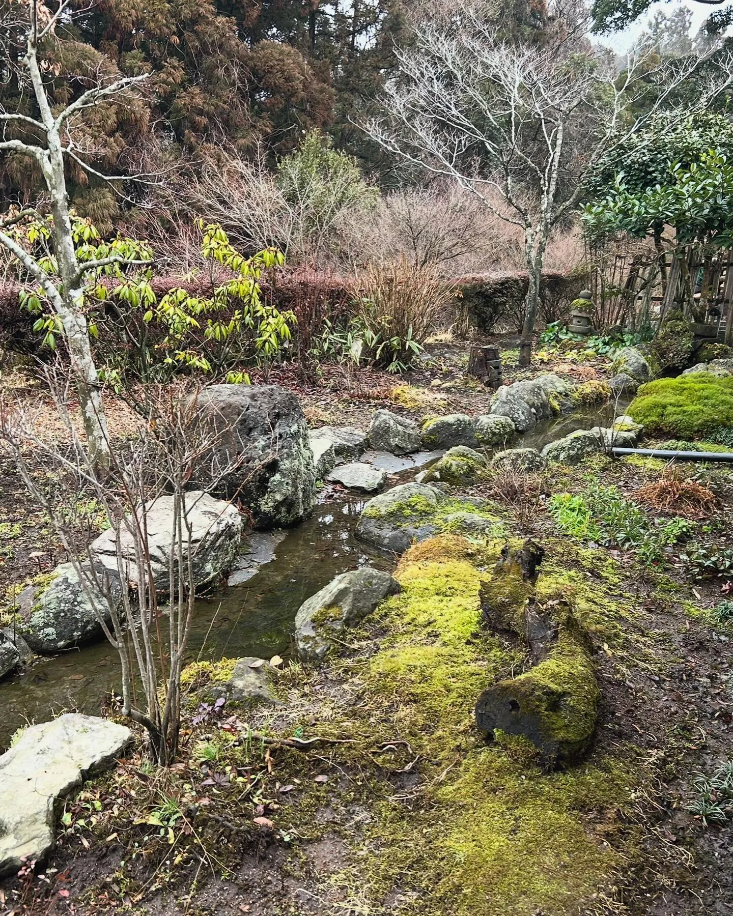 新しい季節、新しい空間を🌿✨。