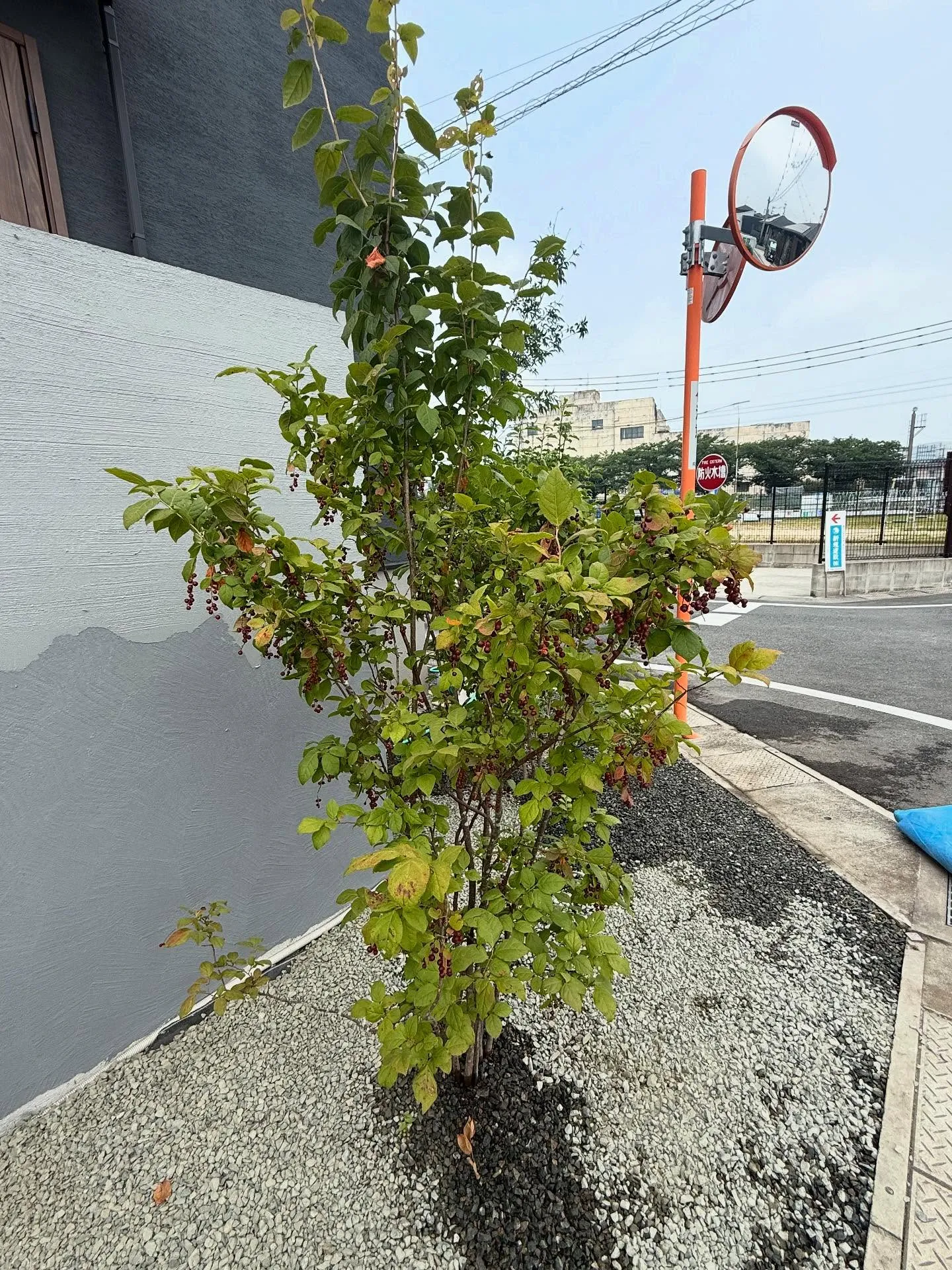 熊本県で外構工事をお考えの方は、ぜひ合志市に位置するRE.L...